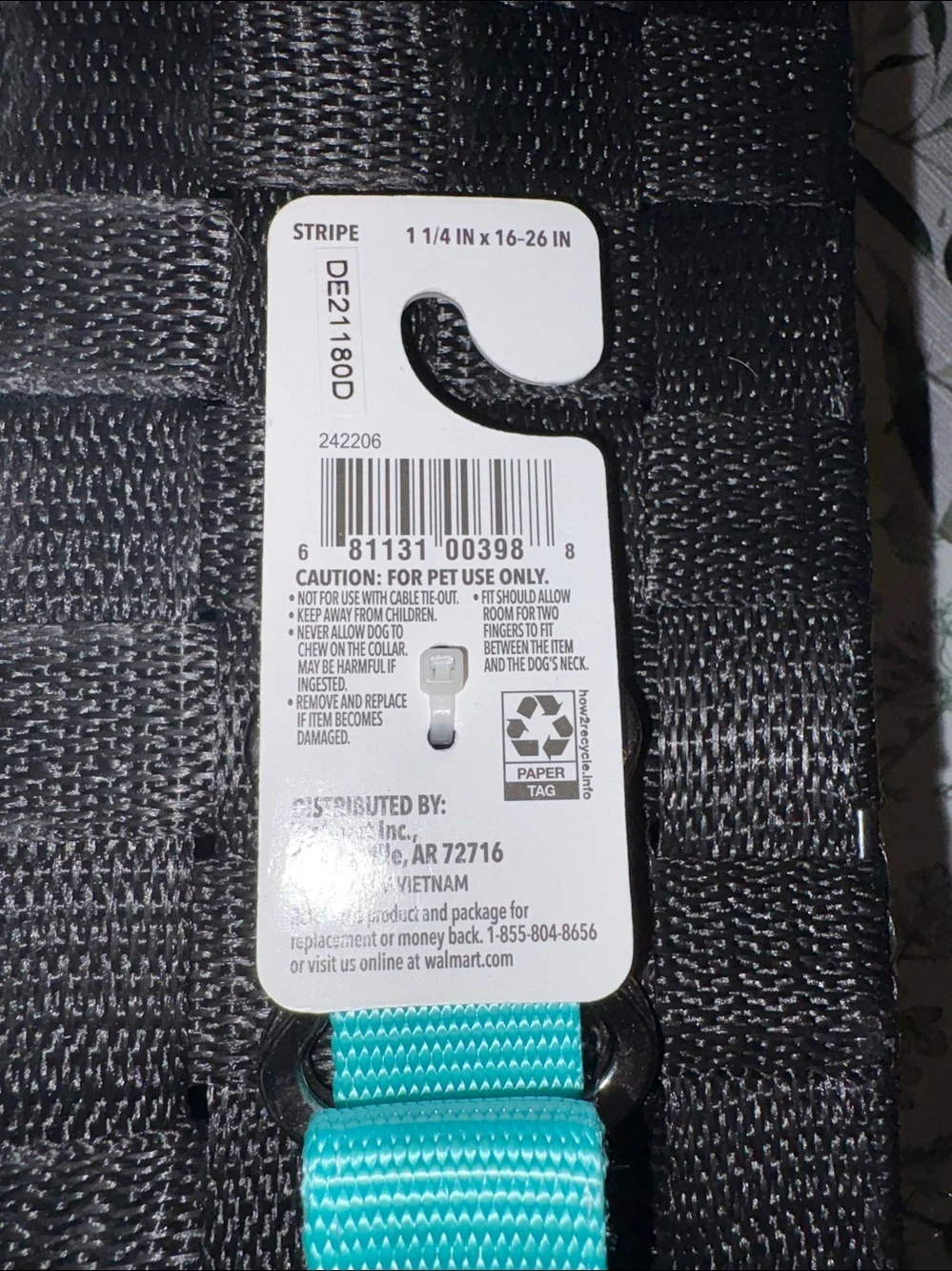 Vibrant Teal Padded Dog Collar with Bone-Shaped Buckle sz L